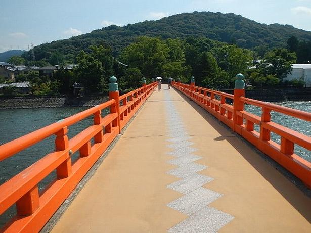 右岸側から中州に浮かぶ橘島へ架かる朝霧橋 画像提供：宇治公園