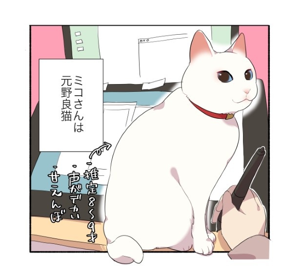 猫を飼うと地震が頻発する話