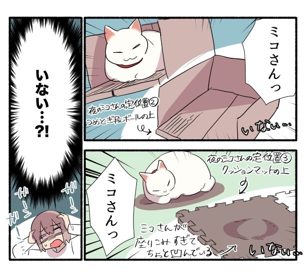 すぐに猫の姿を探すが見当たらない