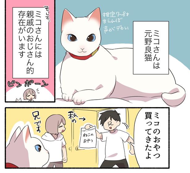 愛猫を「可愛くない」と言われてしまった話 久川はる(@hisakawa_haru)