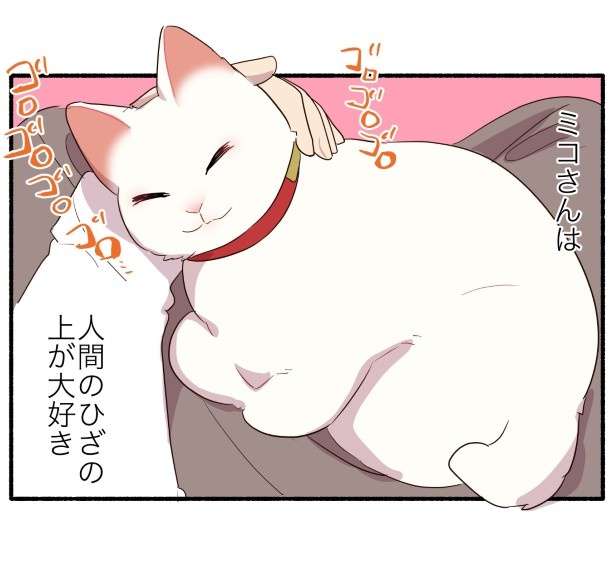 猫をひざに乗せられない兄の話 久川はる(@hisakawa_haru)