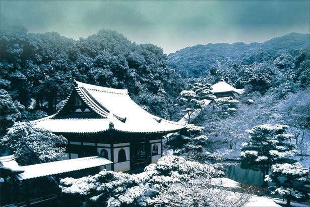 ねねの道沿いに位置する臨済宗建仁寺派の寺院 画像提供:高台寺