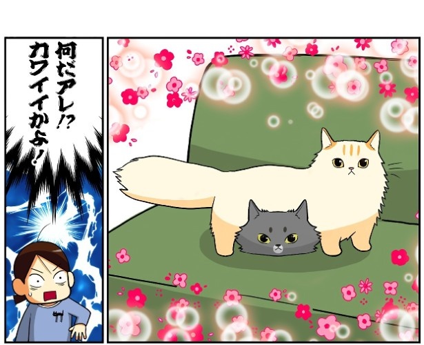 かわいすぎてビックリすることが多々起こるのは猫あるある！