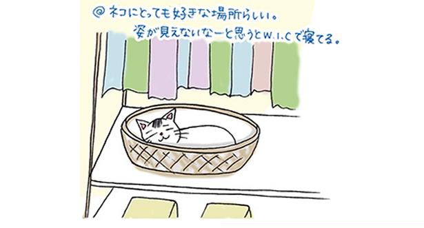 ネコにとっても好きな場所らしい (C)ゆるりまい／KADOKAWA