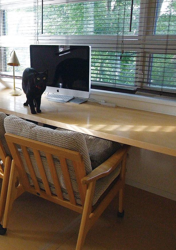 大事な家族の一員である、猫が頻繁に出入りする場所 (C)ゆるりまい/KADOKAWA