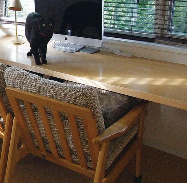 猫の安全のためにも、片っ端から片付けて「がらーん」とした状態に (C)ゆるりまい/KADOKAWA