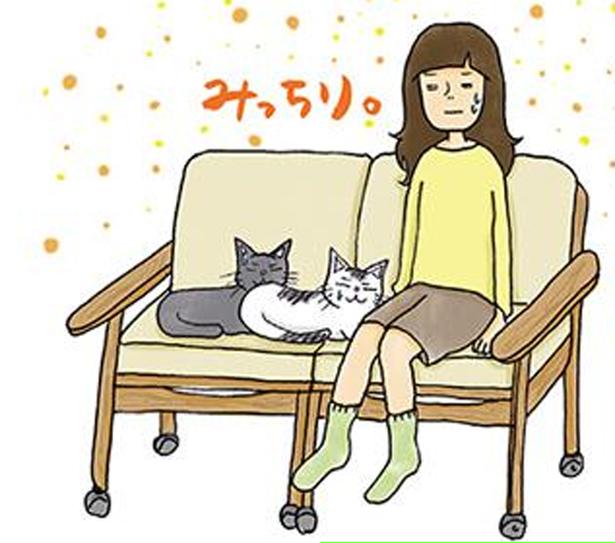 1人と2匹は仲良く並んで座っています (C)ゆるりまい／KADOKAWA