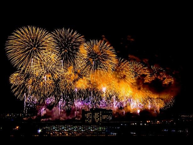 まるで空一面から花火が降ってくるように美しい長岡花火
