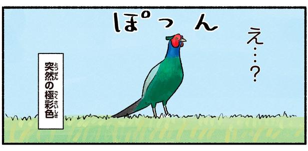 突然の極彩色
