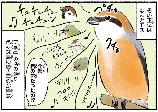 全部君の声だったの！？