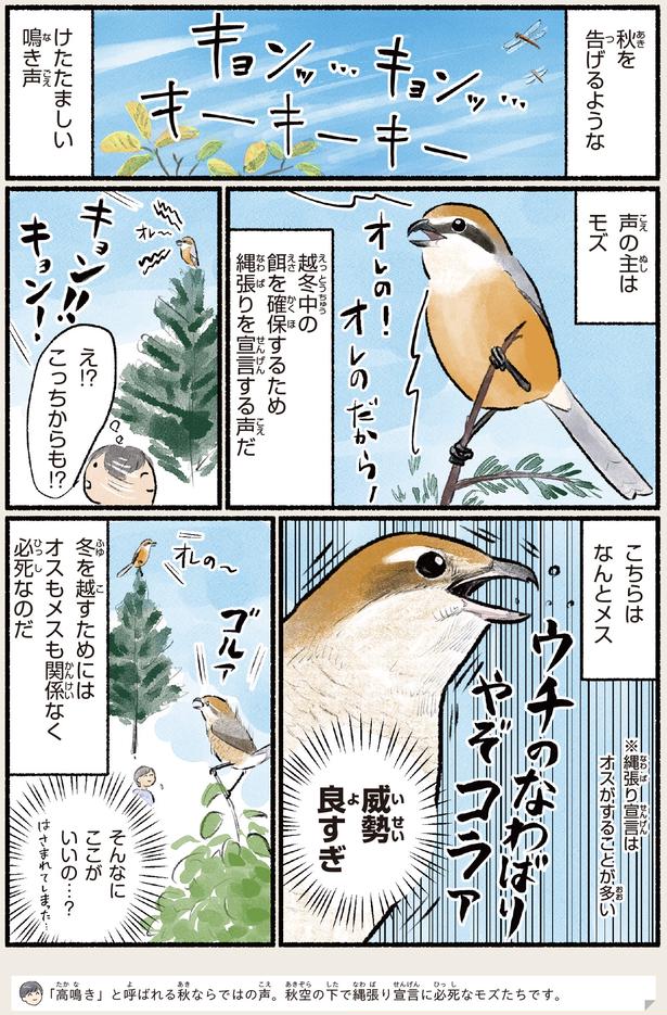 威勢良すぎ
