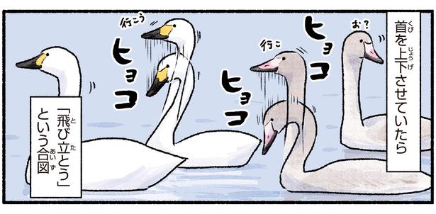 「飛び立とう」という合図