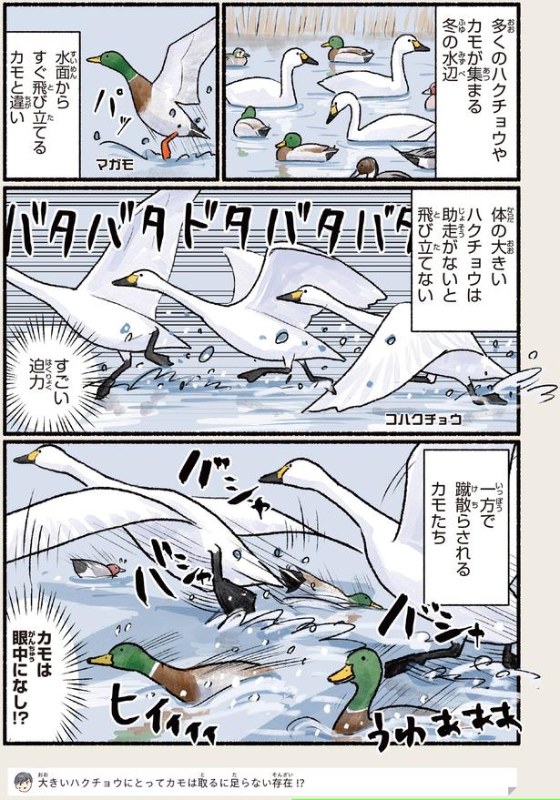 カモは眼中になし！？
