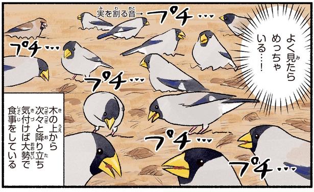よく見たらめっちゃいる…！