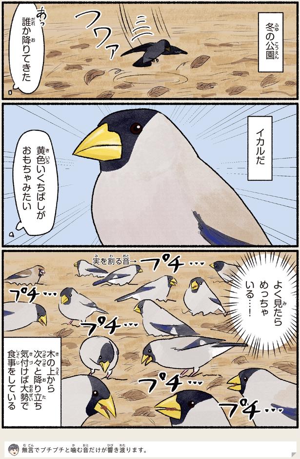 黄色いくちばしがおもちゃみたい
