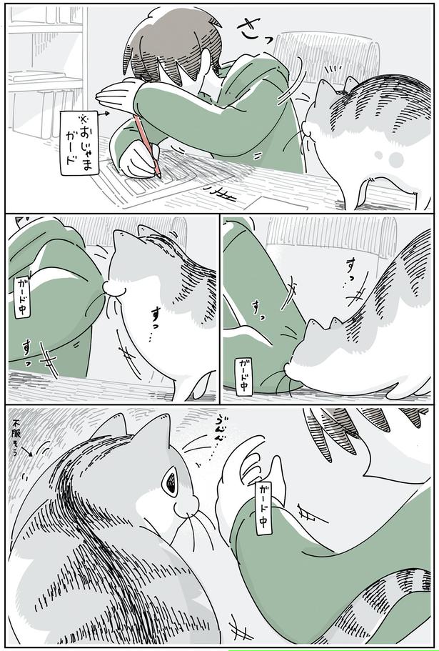 おじゃまガード