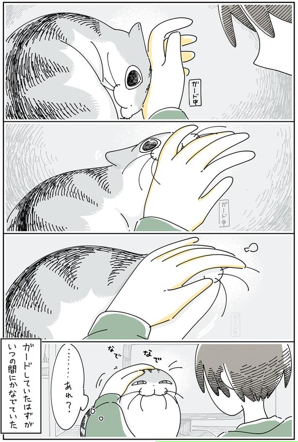 ガードしていたはずが