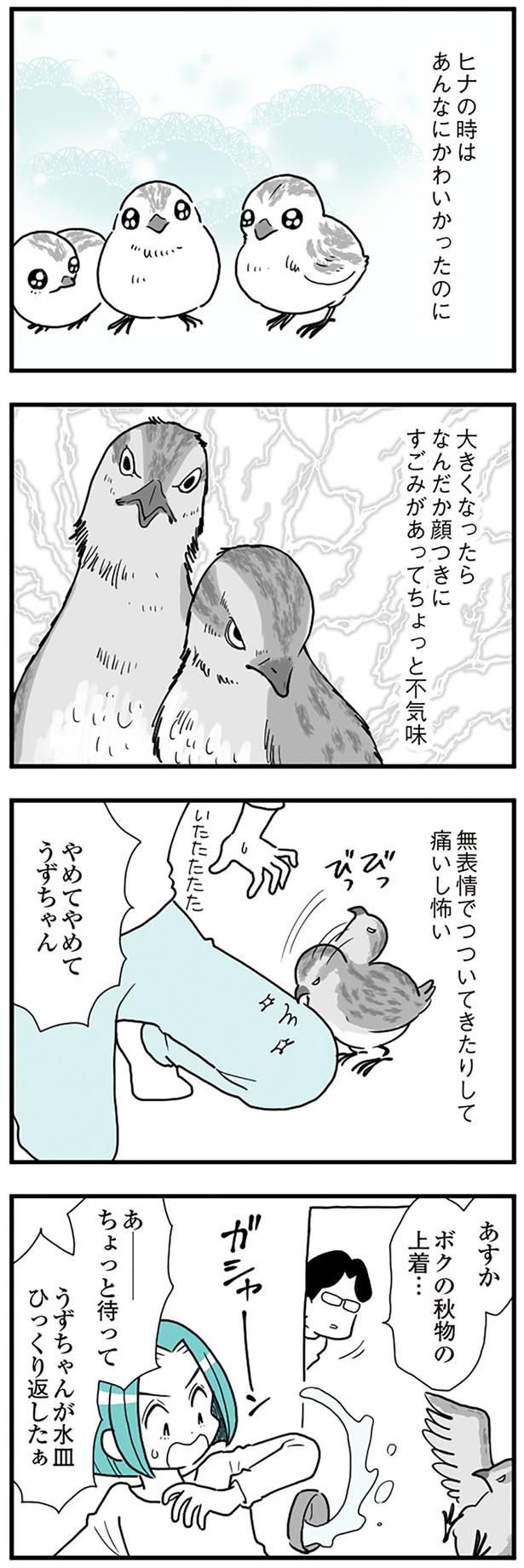 あんなにかわいかったのに （C）前川さなえ／KADOKAWA LifeDesign