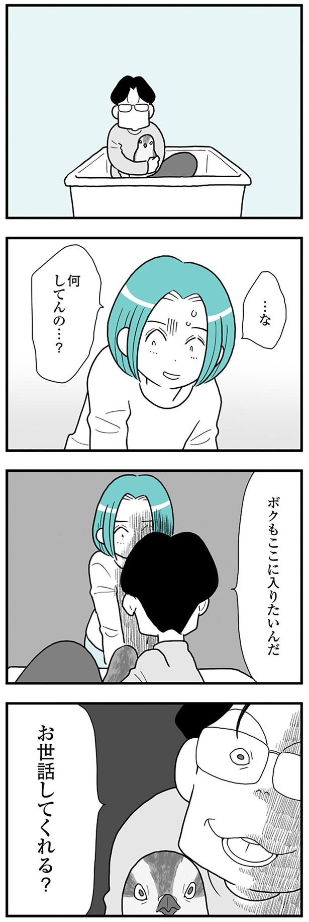 お世話してくれる？ （C）前川さなえ／KADOKAWA LifeDesign