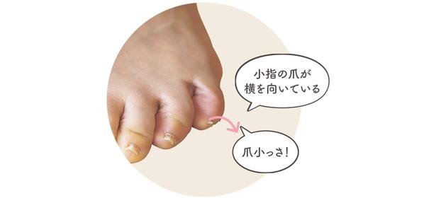 これが寝指 撮影／後藤利江