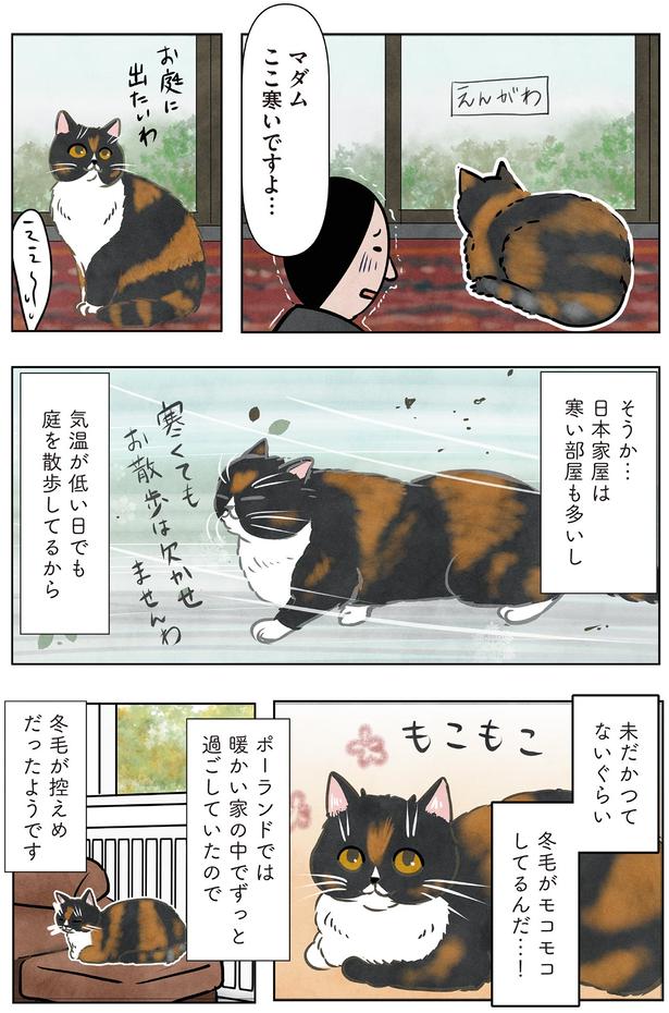 冬毛がモコモコしてるんだ…！