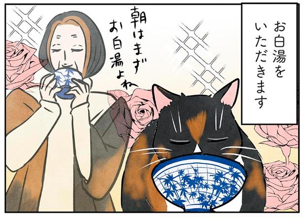 お白湯をいただきます