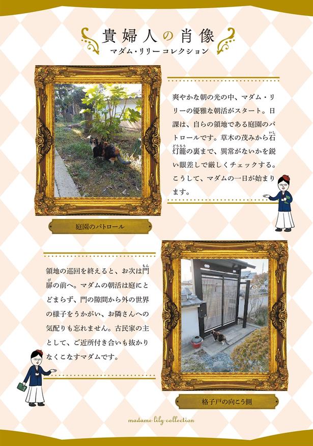 貴婦人の肖像