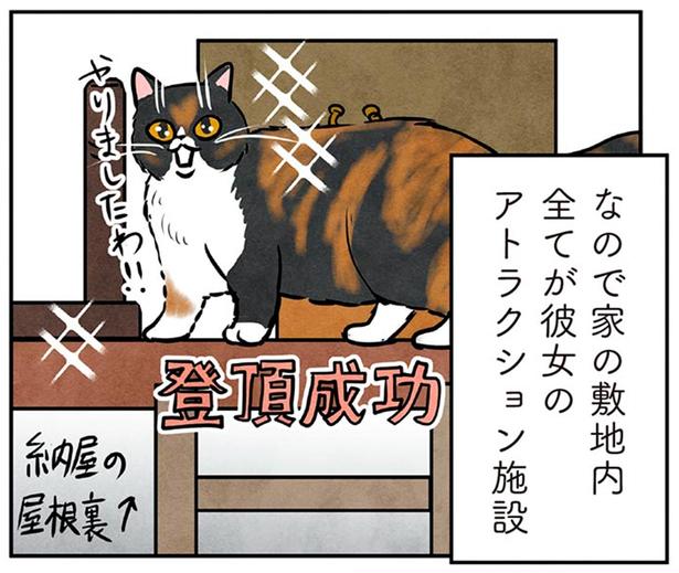 家の敷地内全てが彼女のアトラクション施設 （C）かんさび／KADOKAWA