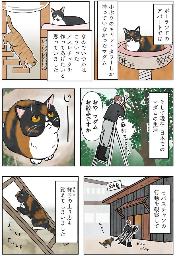 おやマダム　お散歩ですか （C）かんさび／KADOKAWA