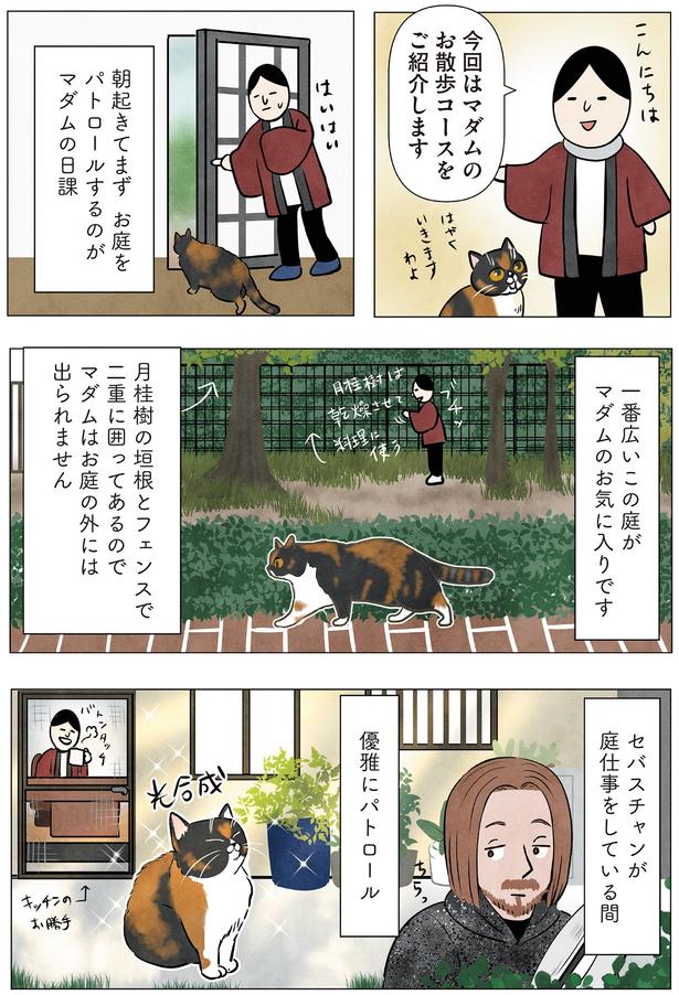 お庭をパトロールするのがマダムの日課 （C）かんさび／KADOKAWA