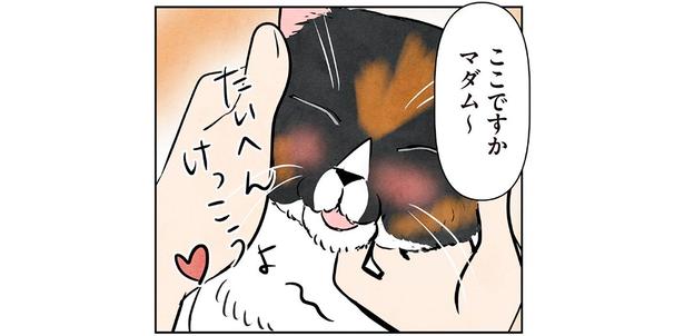 ここですかマダム～ （C）かんさび／KADOKAWA