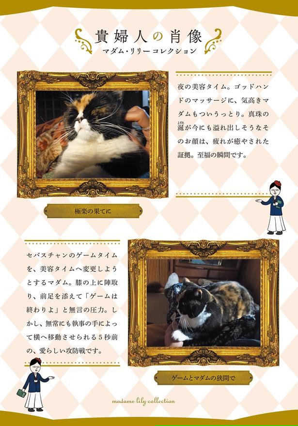 貴婦人の肖像 （C）かんさび／KADOKAWA