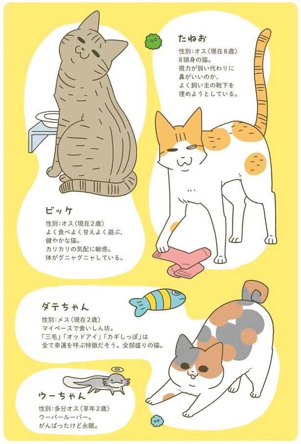 動物紹介 （C）卵山玉子／KADOKAWA