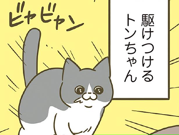 駆けつけると （C）卵山玉子／KADOKAWA
