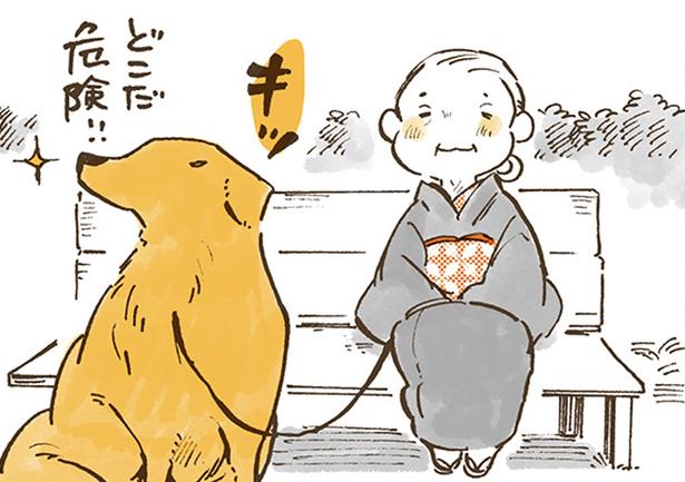 休憩中も姫ばあちゃんを守るナイト