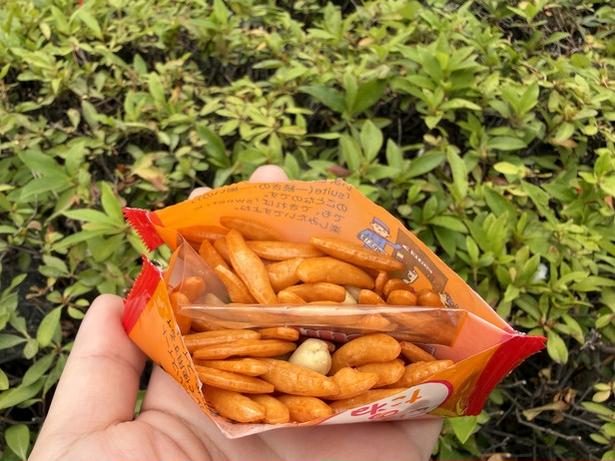 公園でも飛び散らなくて安心♪(▶次へ) 撮影/ひろ
