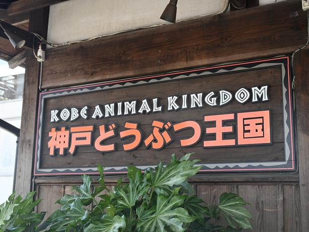 「神戸どうぶつ王国」はポートアイランドにある。三宮駅からポートライナーで約14分
