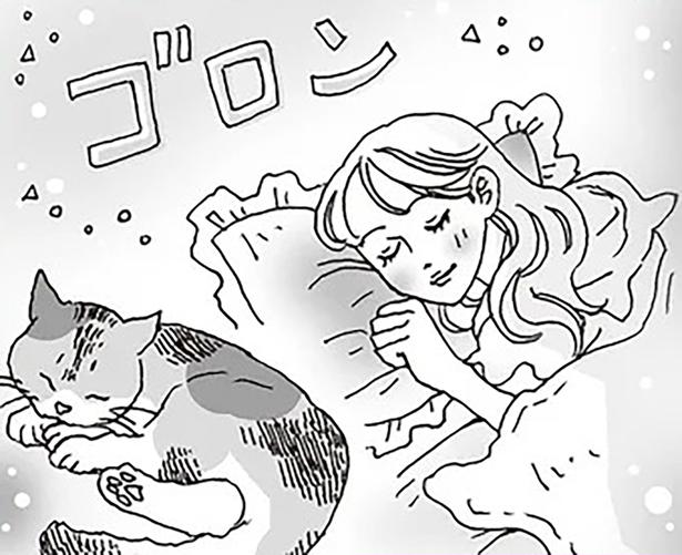 猫みたいに過ごす