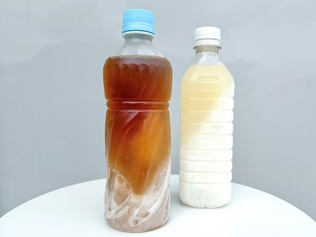 誰でもできる！冷凍ペットボトルが最後まで美味しく飲める方法（▶裏ワザ詳細をチェック）