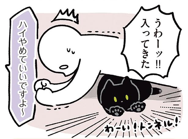 うわーッ！！入ってきた