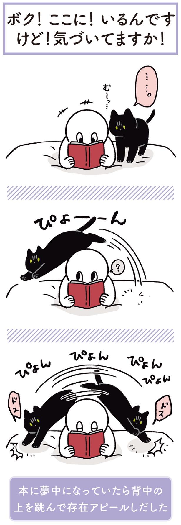 ぴょーん