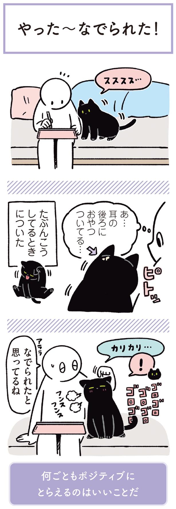 なでられたと思ってるね