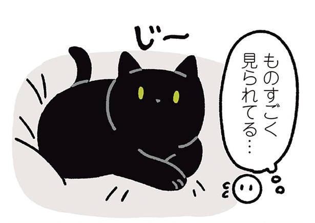 ものすごく見られてる…
