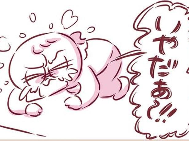 いやだぁ！！