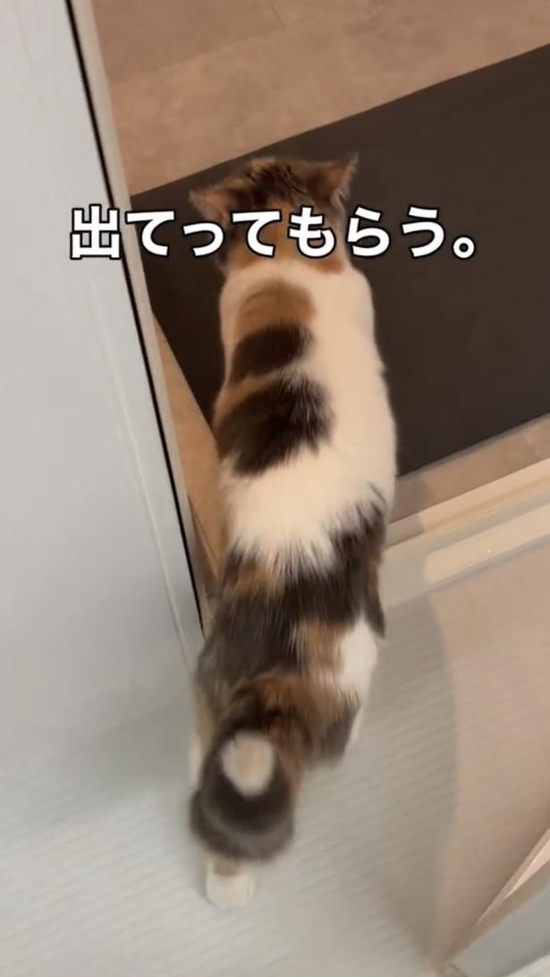 退出させられる▶ところが…（⇒次へ）