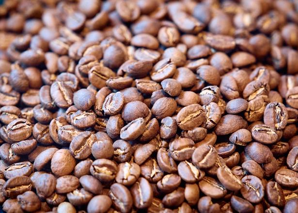 豆の産地や農園はシーズンごとに変わり、新しいコーヒーとの出合いを教えてくれる