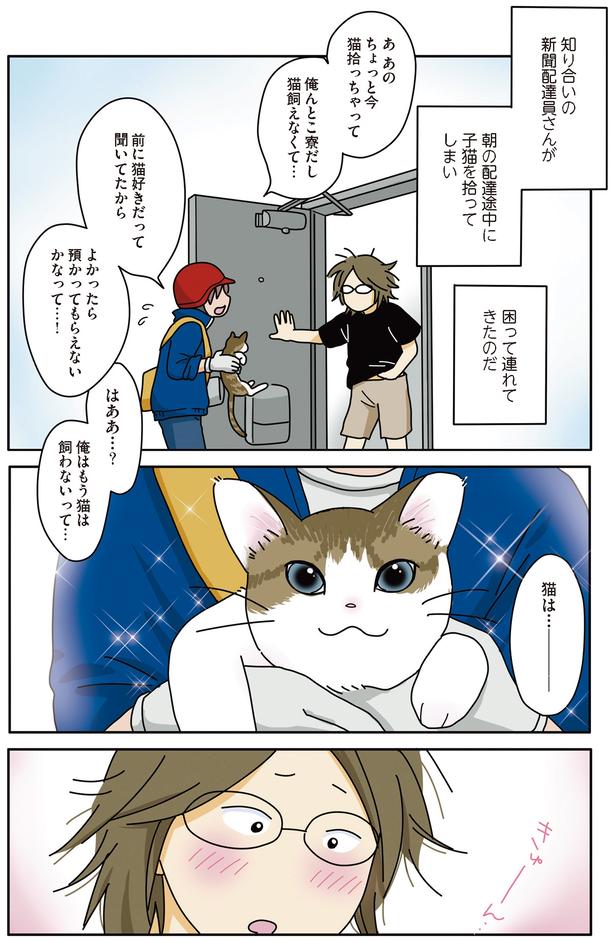 子猫を拾ってしまい （C）ねこゆうこ／KADOKAWA