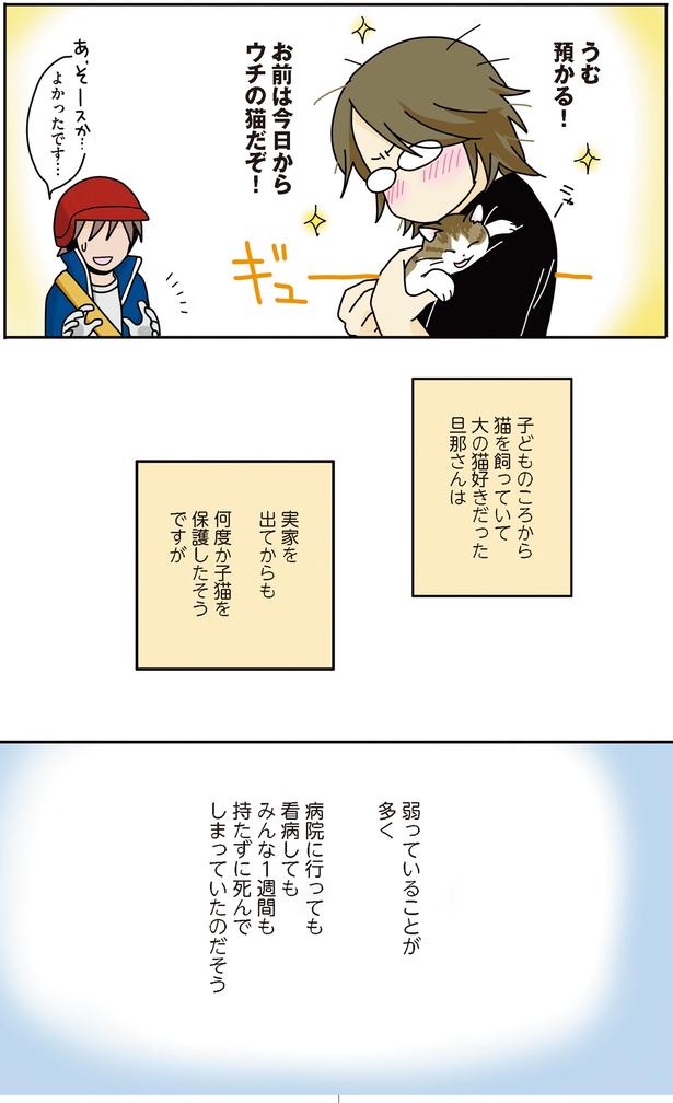 今日からウチの猫だぞ！ （C）ねこゆうこ／KADOKAWA