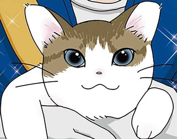 もう猫は飼わない （C）ねこゆうこ／KADOKAWA