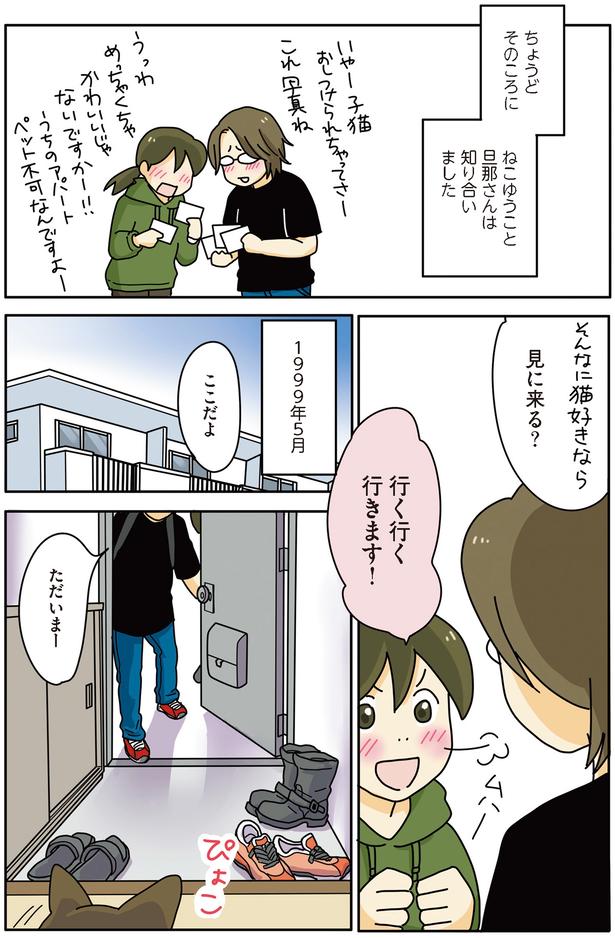 見に来る？ （C）ねこゆうこ／KADOKAWA
